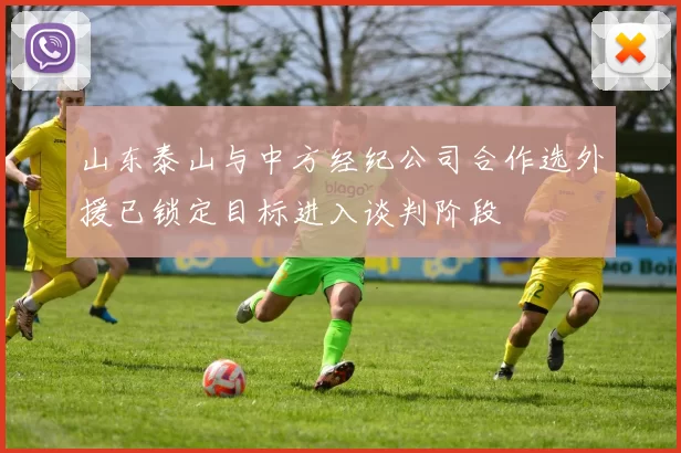 山东泰山与中方经纪公司合作选外援已锁定目标进入谈判阶段