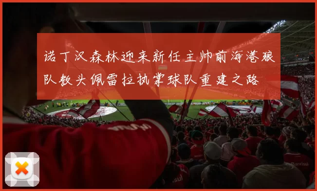 诺丁汉森林迎来新任主帅前海港狼队教头佩雷拉执掌球队重建之路