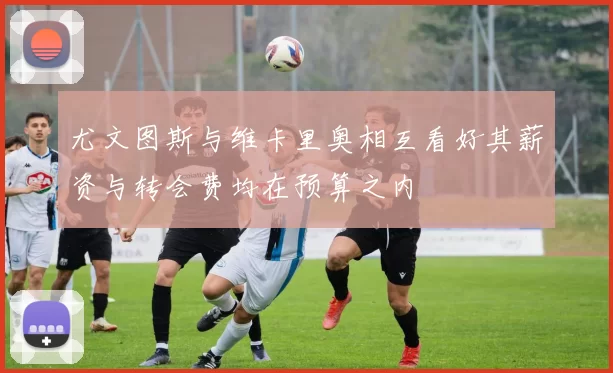 尤文图斯与维卡里奥相互看好其薪资与转会费均在预算之内